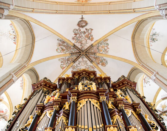 Walburgis Kirche Orgel © Gemeente Zutphen