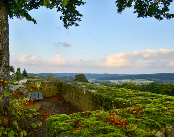 Blick von der Stadtmauer auf den Naturpark Arnsberger Wald © Foto Zoomfaktor