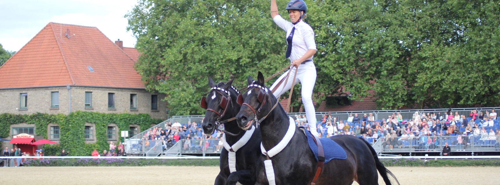 Hengstparade