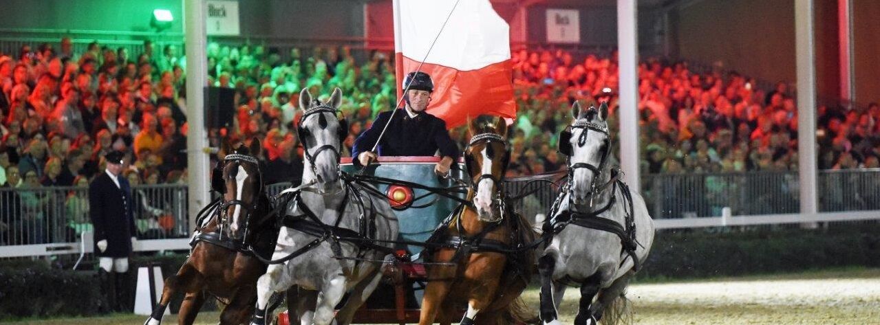 Parade by night