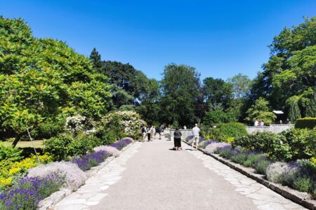 RG_Botaniska trädgården sommar (c) Region Gotland RG_Botaniska trädgården sommar (c) Region Gotland