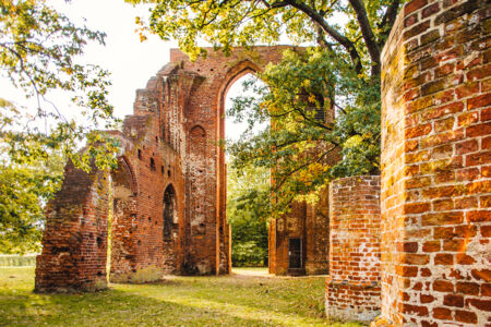 Ruins of Eldena Abbey ©Wally Pruss