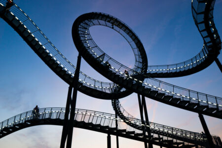 Tiger & Turtle ©Nikolay Dimitrov