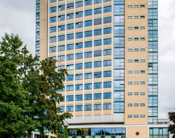 Rathaus 2017 © Fotografie Golz Rathaus 2017 © Fotografie Golz