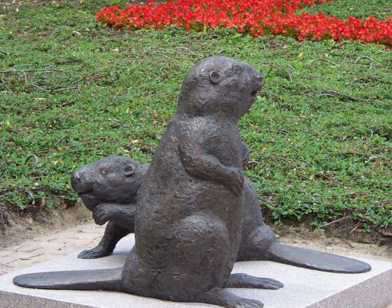 Denkmal Biber ©Hansestadt Demmin Denkmal Biber ©Hansestadt Demmin