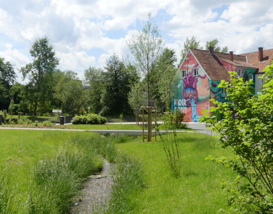 Mittleres Paderquellgebiet © Tourist Information Paderborn