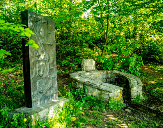 Neuenrade - Hönnequelle © Maik Wiesegart Neuenrade - Hönnequelle © Maik Wiesegart