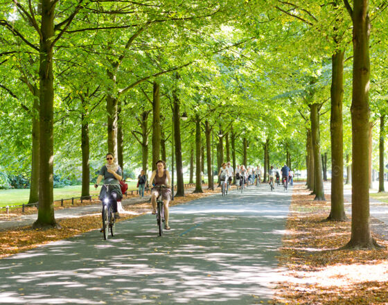 Promenade Münster © Ralf Emmerich