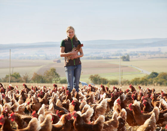 Landwirtschaft in Brakel ©Matthias Groppe, Stadt Brakel