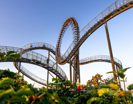 Tiger & Turtle ©Nikolay Dimitrov