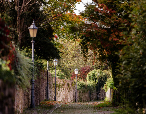 Stadtmauer_Osterode_Daniel_Li