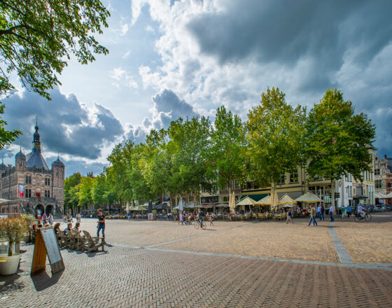 Brink ©Gerard Dubois Brink ©Gerard Dubois