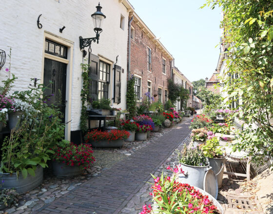 Elburg Westerwalstrasse-1 ©Gemeente Elburg