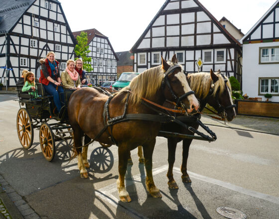 Eselmarkt in Rüthen mit Kutschfahrten © Zoomfaktor