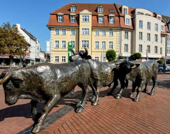 Stadt Lünen Nördliche Innenstadt Ochsenzug © Blaszczyk