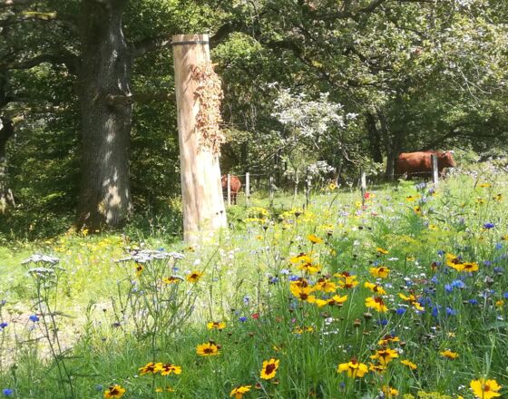 Das Bibertal im Sommer mit alter Bienweide und Abenteuerspielplatz © Stadt Rüthen