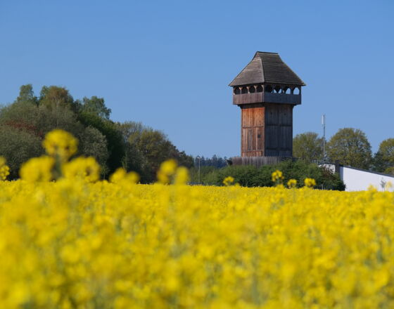 Neuenrade - Motte © Jan Riecke