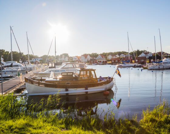 Kalmarsommar 3 © Linus Sandvide