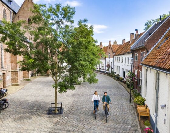 Hattem 13 © Gijs Versteeg Fotografie Hattem 13 © Gijs Versteeg Fotografie