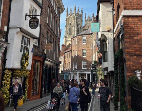 MiniHanseaticDay2025 MiniHanseaticDay2025