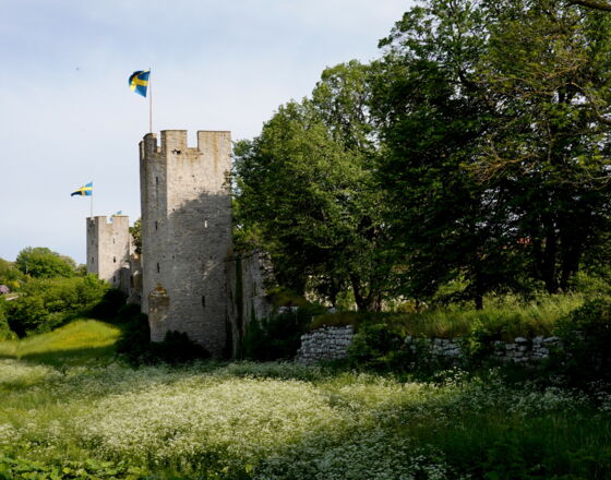 Stadtmauer Visby (c) Andreas Slemeyer