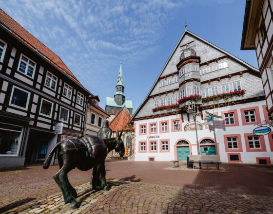 Altes-Rathaus_Osterode_Daniel_Li