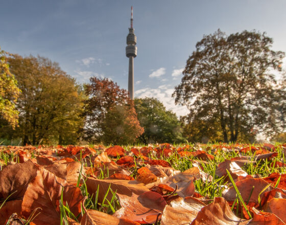 Westfalenpark ©Stadt Dortmund, Roland Gorecki