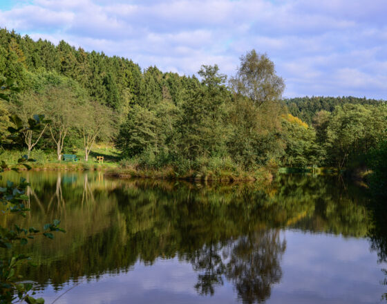 Bibersee im Bibertal © Zoomfaktor