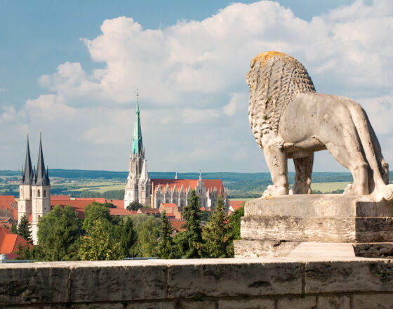 Blick vom Löwen © Tino Sieland