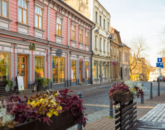 Old city 2 ©Cēsis tourism information centre