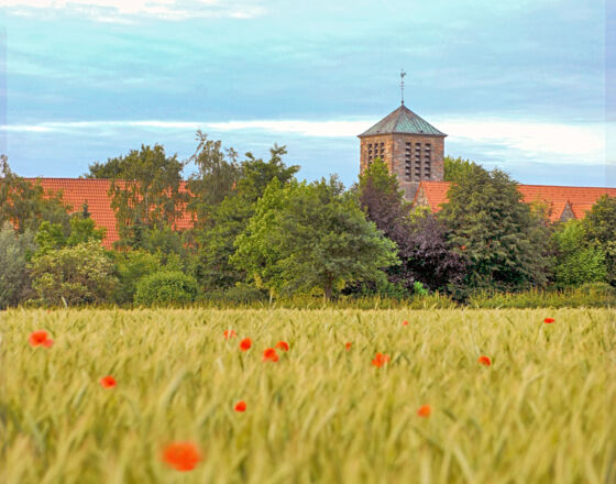 Mohnfeld Vellern © Wolfgang Immig