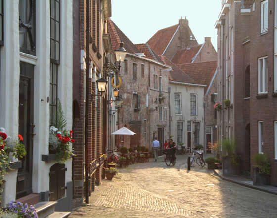 Deventer Algemeen Bergkwartier ©Gerard Dubois | VVV Deventer Deventer Algemeen Bergkwartier ©Gerard Dubois | VVV Deventer