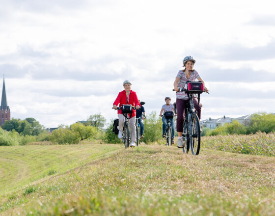 Radtour auf dem Estedeich ©Daniela Ponath Fotografie, Hansestadt Buxtehude