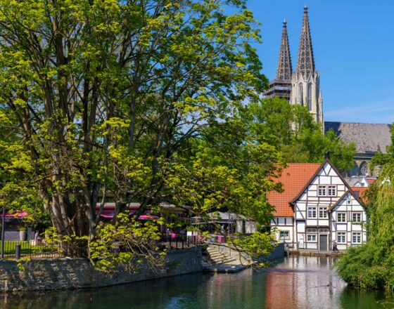 21-grosserteich-001-3757 © Gero Sliwa 21-grosserteich-001-3757 © Gero Sliwa