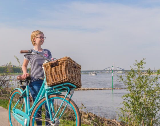 Cycling along the Rhine river