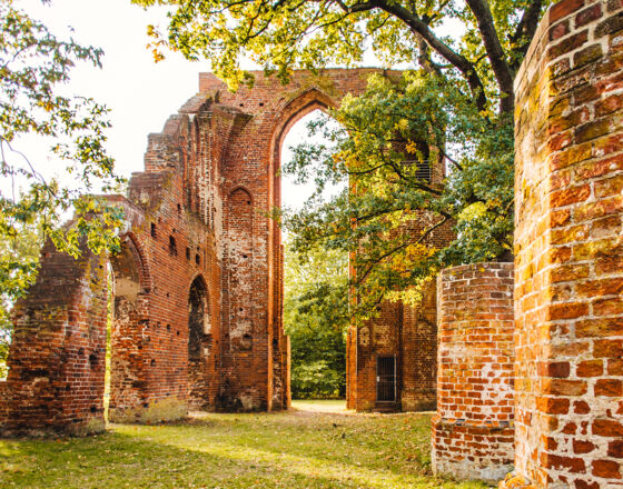 Ruins of Eldena Abbey ©Wally Pruss
