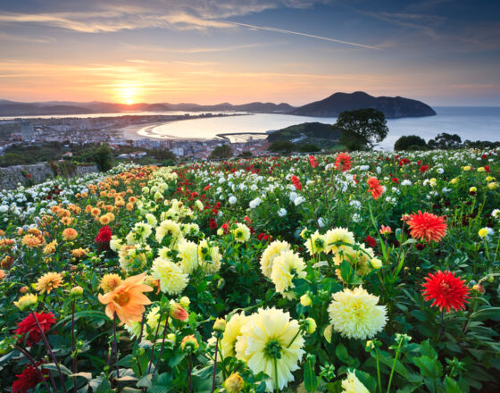 F.Sanchoyarto_Laredo.082 © Ayuntamiento de Laredo F.Sanchoyarto_Laredo.082 © Ayuntamiento de Laredo