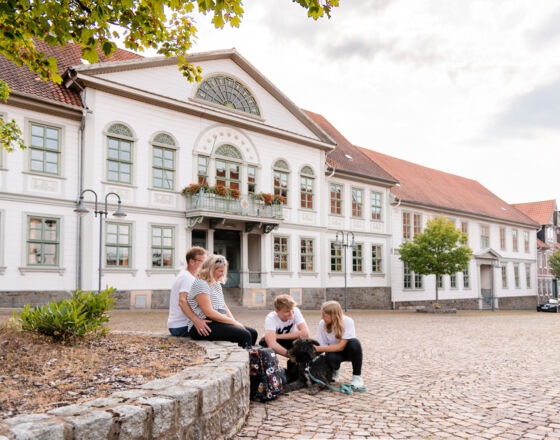 Palais_Schachtrupp_Osterode_Daniel_Li