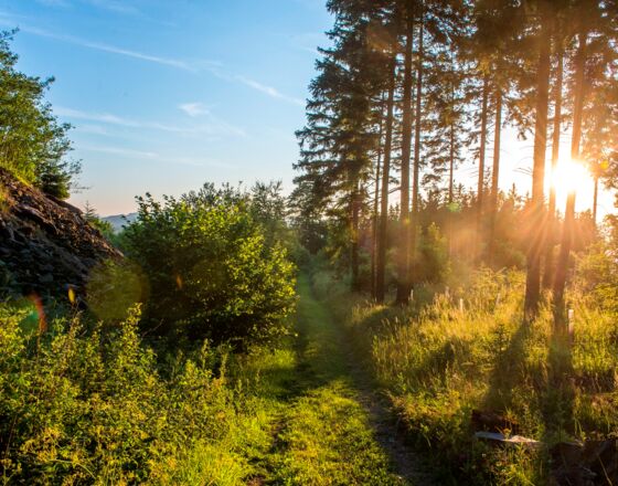 Briloner Wald - Bilstein ©Brilon Wirtschaft und Tourismus GmbH