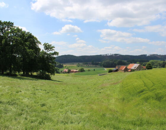 Osnabrücker Land ©Tourist-Information Bad Iburg