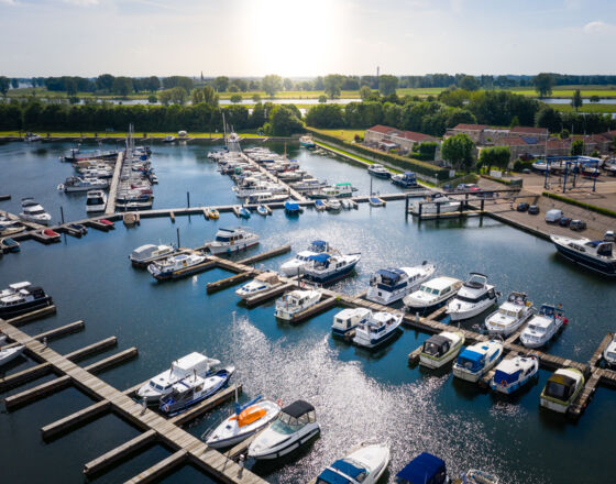 Haven Haven