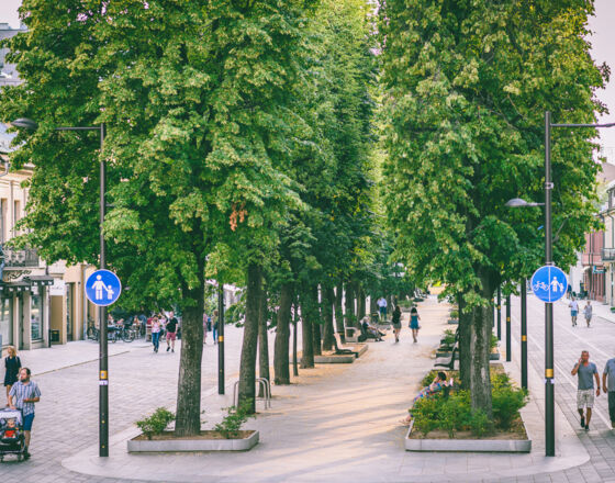 Kaunas 9 © A. Aleksandravičius