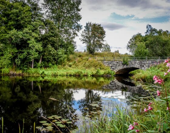 Der Fluss Kaasmarkunjoki © Esko Pamppunen Der Fluss Kaasmarkunjoki © Esko Pamppunen