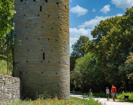 20-kattenturm-002-2216 © Gero Sliwa