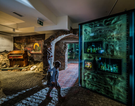 Archaeological and Historical Museum ©Muzeum Archeologiczno-Historyczne w Elblągu