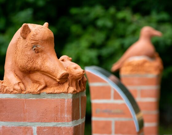 World heritage trail, boar