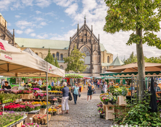 Domplatz Münster Wochenmarkt © Dagmar Schwelle