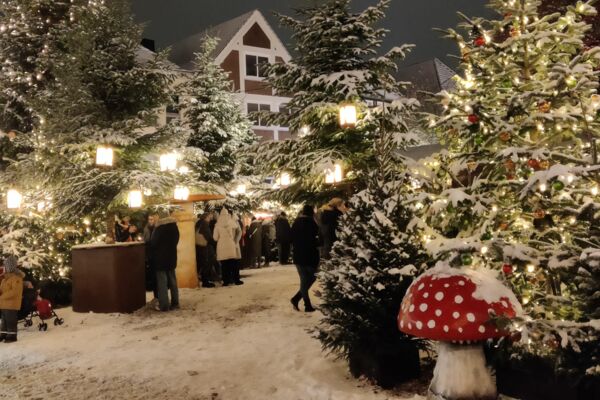 Buxtehuder Wintermärchen © Hansestadt Buxtehude