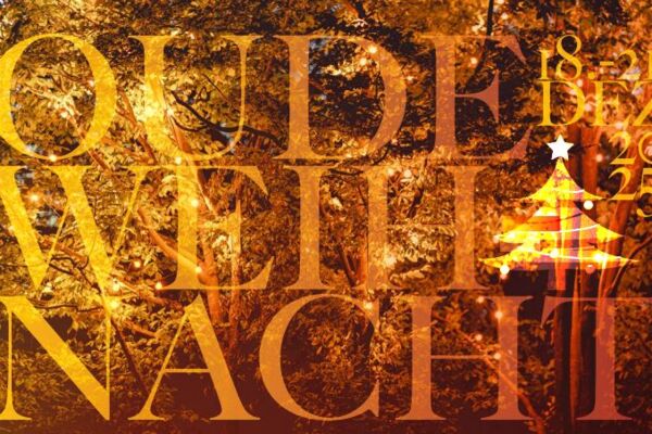 Dorsten Oude Weihnacht_Foto Schaukelbaum