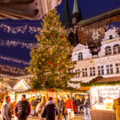 Lübeck_Weihnachtsmarkt auf dem Markt Tanne  © LTM